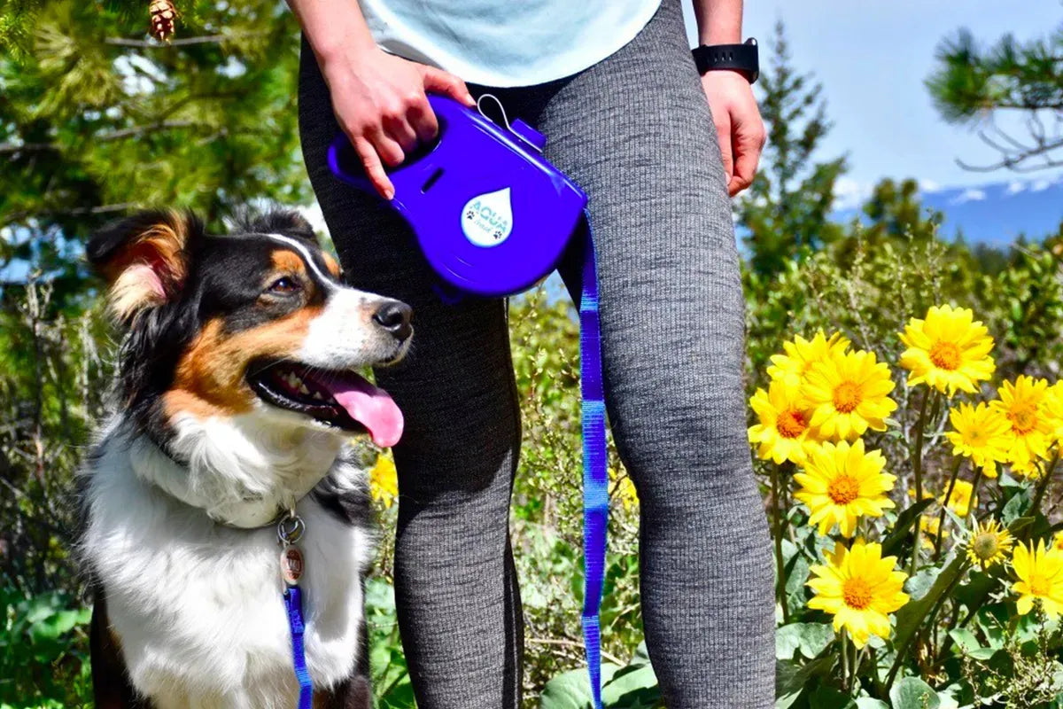 SmartWalk™ Official Kit.